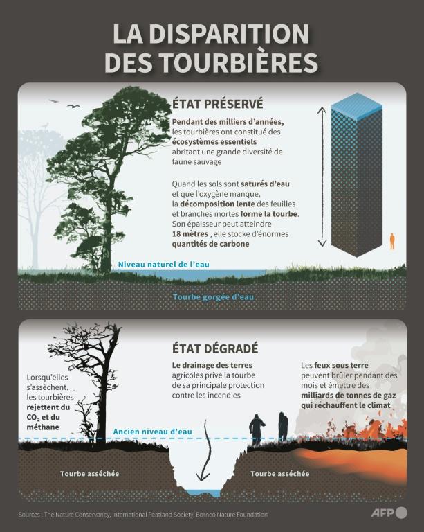 Incendies en Indonésie : bataille devant la justice pour un air plus pur