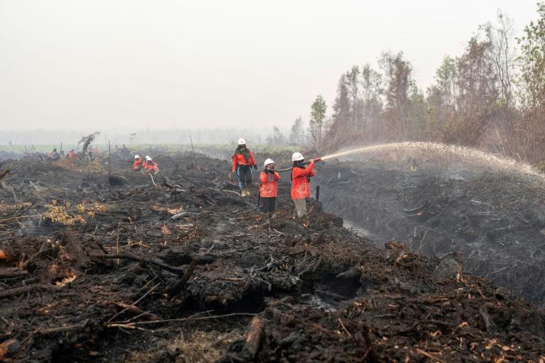 Incendies en Indonésie : bataille devant la justice pour un air plus pur