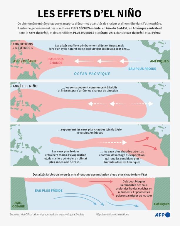 El Niño pourrait "dépasser littéralement les échelles de suivi" actuelles, selon l'ONU