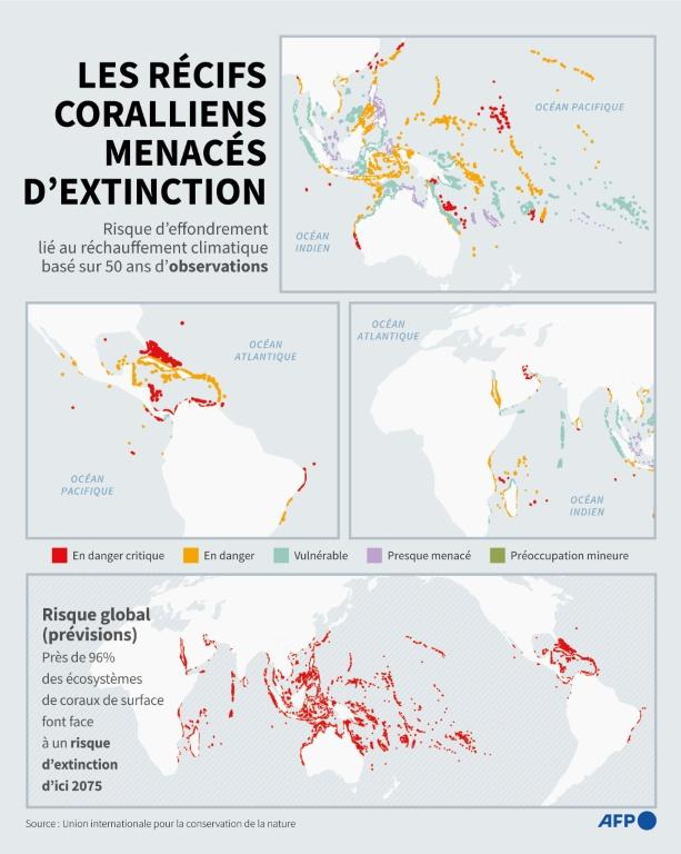 Changement climatique : 96 % des récifs coralliens menacés d'extinction d'ici 50 ans, selon l'UICN
