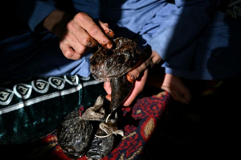 La culture du pavot à opium repart à la hausse dans un Afghanistan en proie aux crises