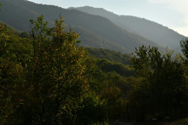 Entre l'Arménie et l'Azerbaïdjan, la destruction de forêts met à l'épreuve les efforts de paix