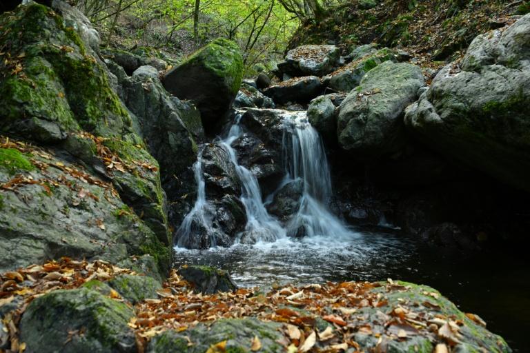 Entre l'Arménie et l'Azerbaïdjan, la destruction de forêts met à l'épreuve les efforts de paix