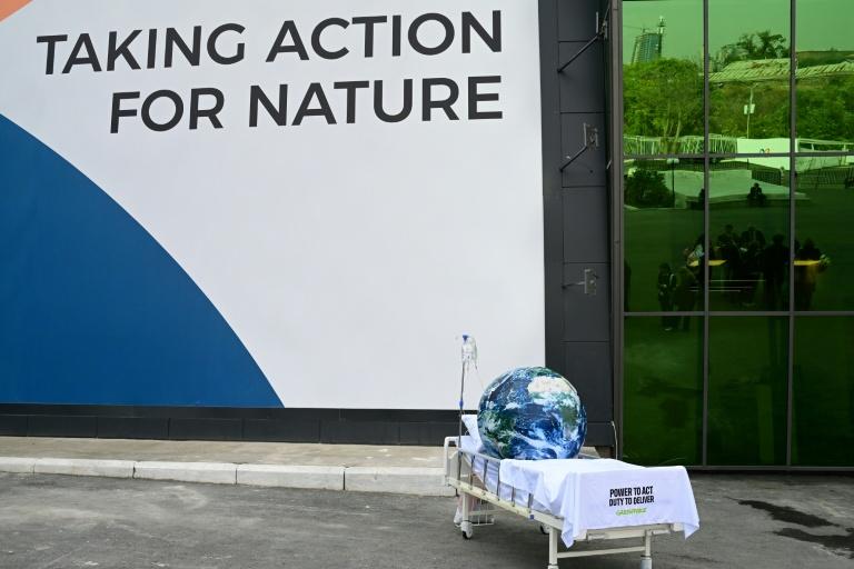 Biodiversité : pas d'accord à l'horizon, au dernier jour de la COP17