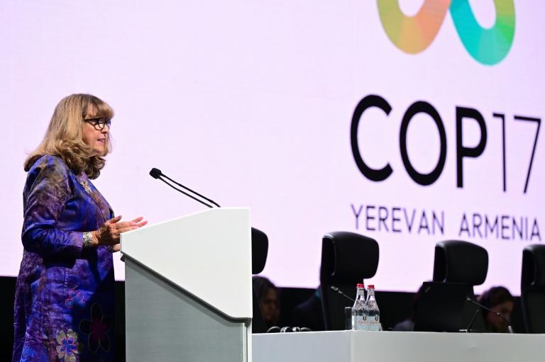 Biodiversité : pas d'accord à l'horizon, au dernier jour de la COP17