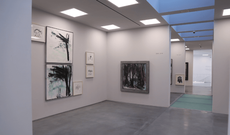 Fundación - Museum Jorge Rando