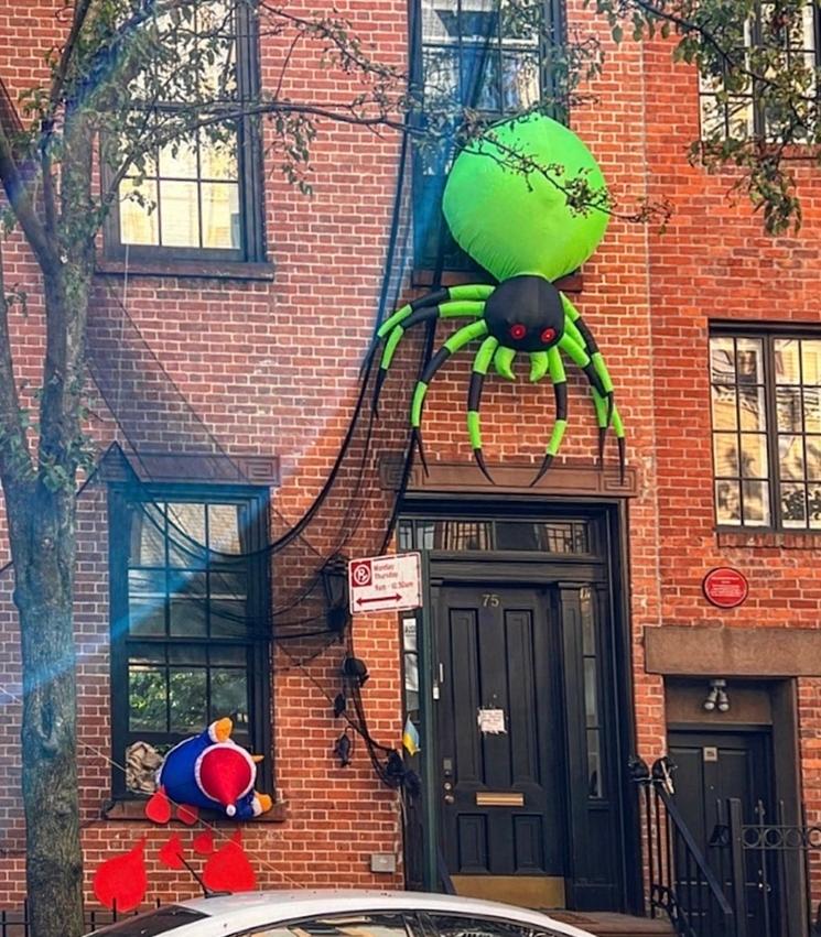 une araignée géante