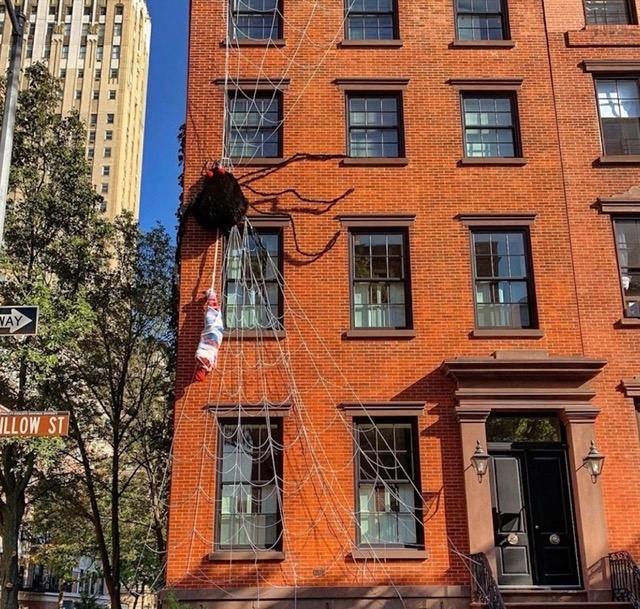 Araignée sur une façade