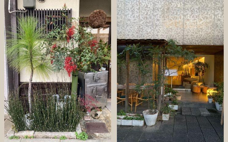 © Adina Mazzoni-Cernus, Kyoto 12.2023.jpg