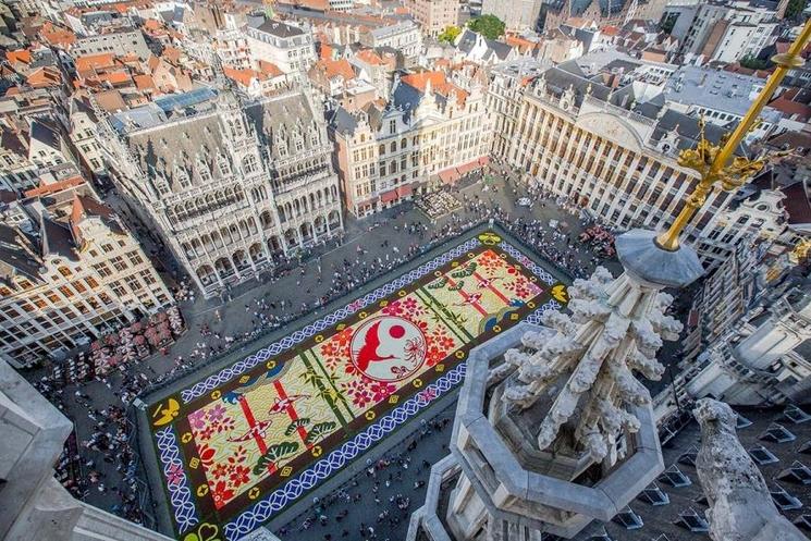 Tapis de fleurs carpes, grue et cerisiers japonais