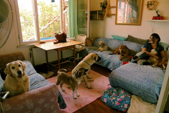 Özlem Emir maman des animaux Istanbul