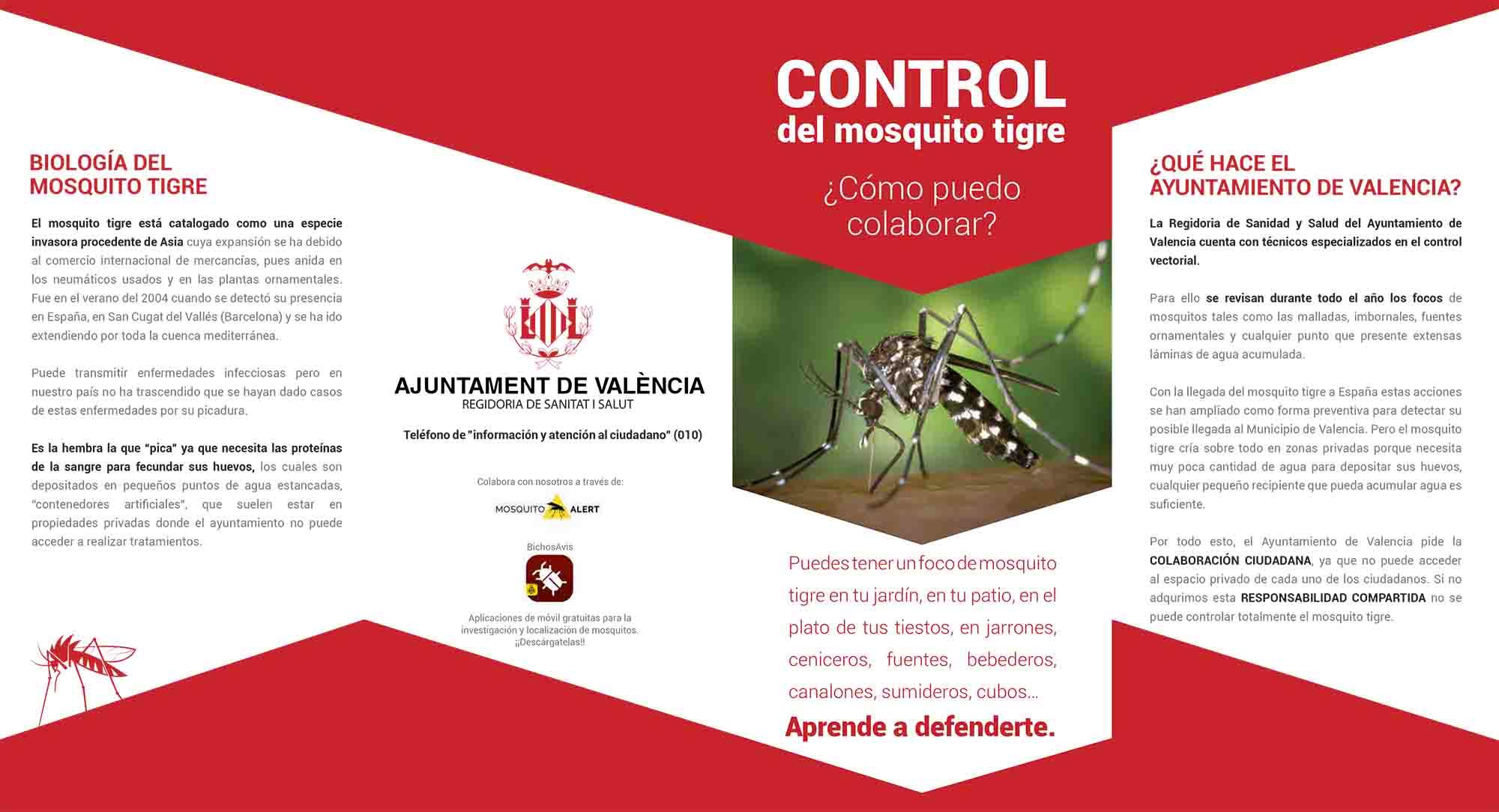 Mesures Moustique Tigre Valencia