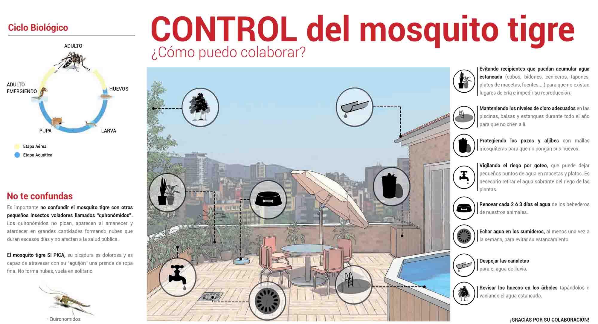 Mesures Moustique Tigre Valence