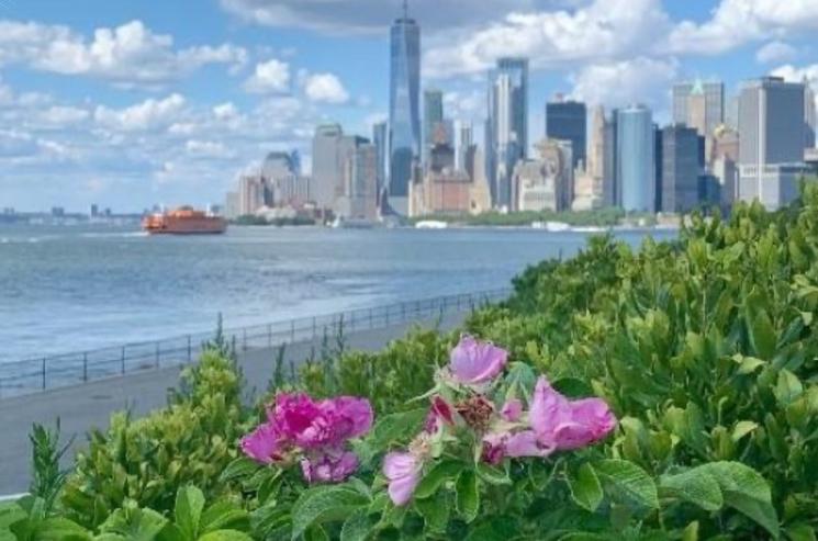 Cadeau Noël New York