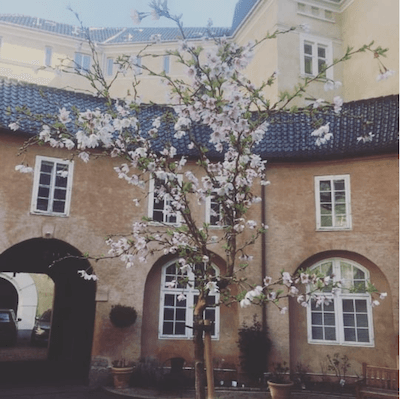 Palais Thott Copenhague runddel Ambassade France au Danemark