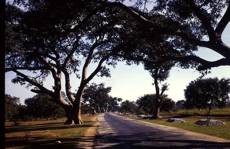 bangalore madras india inde