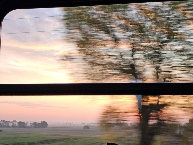 Paysage vu de la fenêtre d'un train