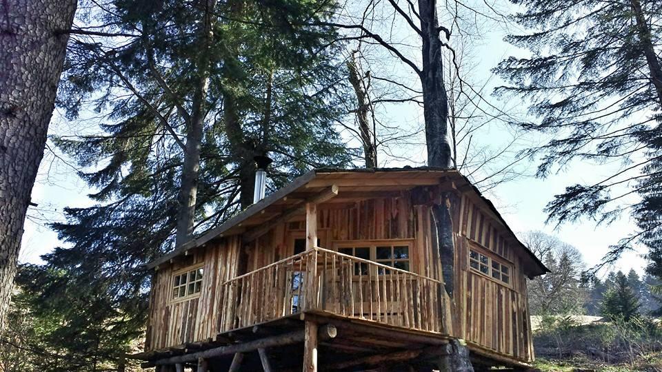 cabane-arbre-camping-roumanie