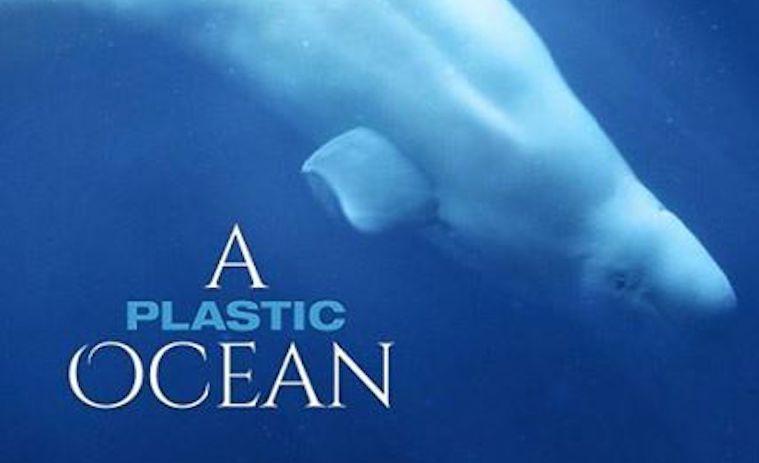 a plastic ocean