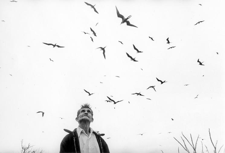 Photo d'un vieil homme survolé par des oiseaux