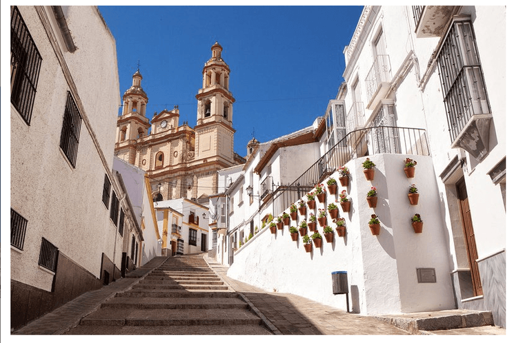 Chateau Olivera Cadiz