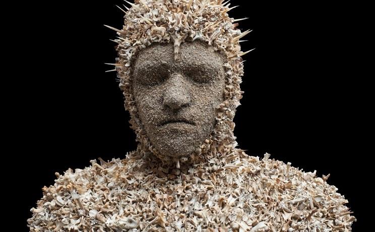 Artiste kiwi mahalski