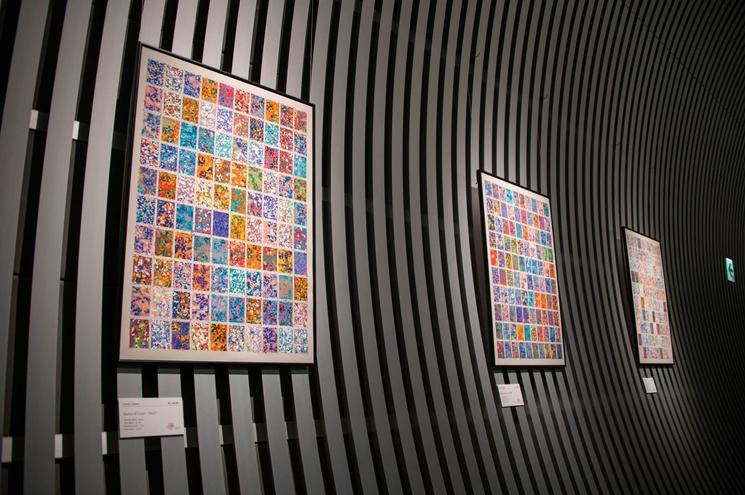 ©Andrew Scott, OIST Sputniko! oeuvres à OIST Okinawa