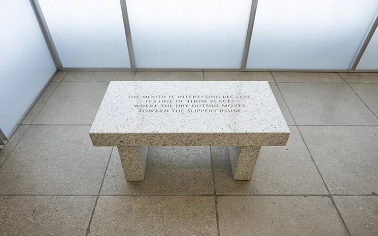 Un banc en marbre portant l'inscription "The mouth is interesting because it's one of those places where the dry outside moves toward the slippery inside"