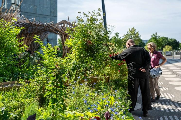 Deux personnes observent le jardin Superland en détail
