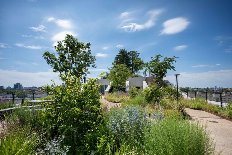 Le toit terrasse végétalisé de l'immeuble AERA Dachgarten