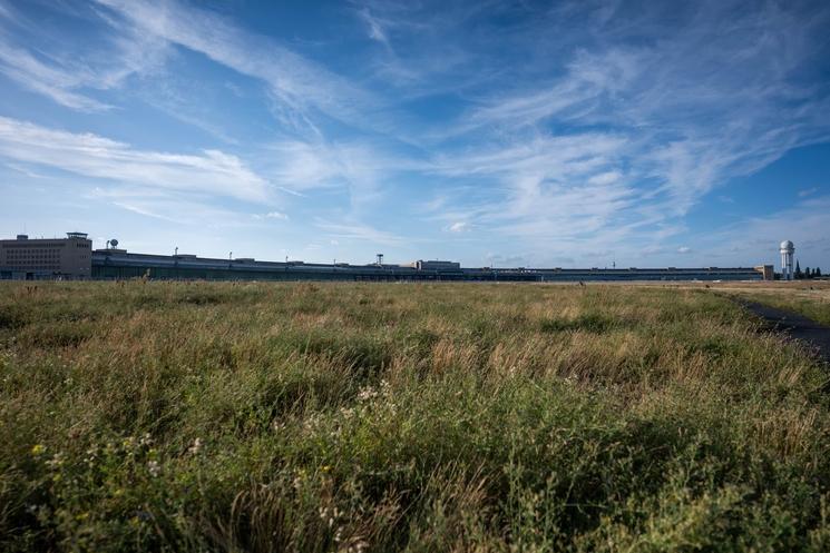 Le Tempelhoder Feld et ses prairies