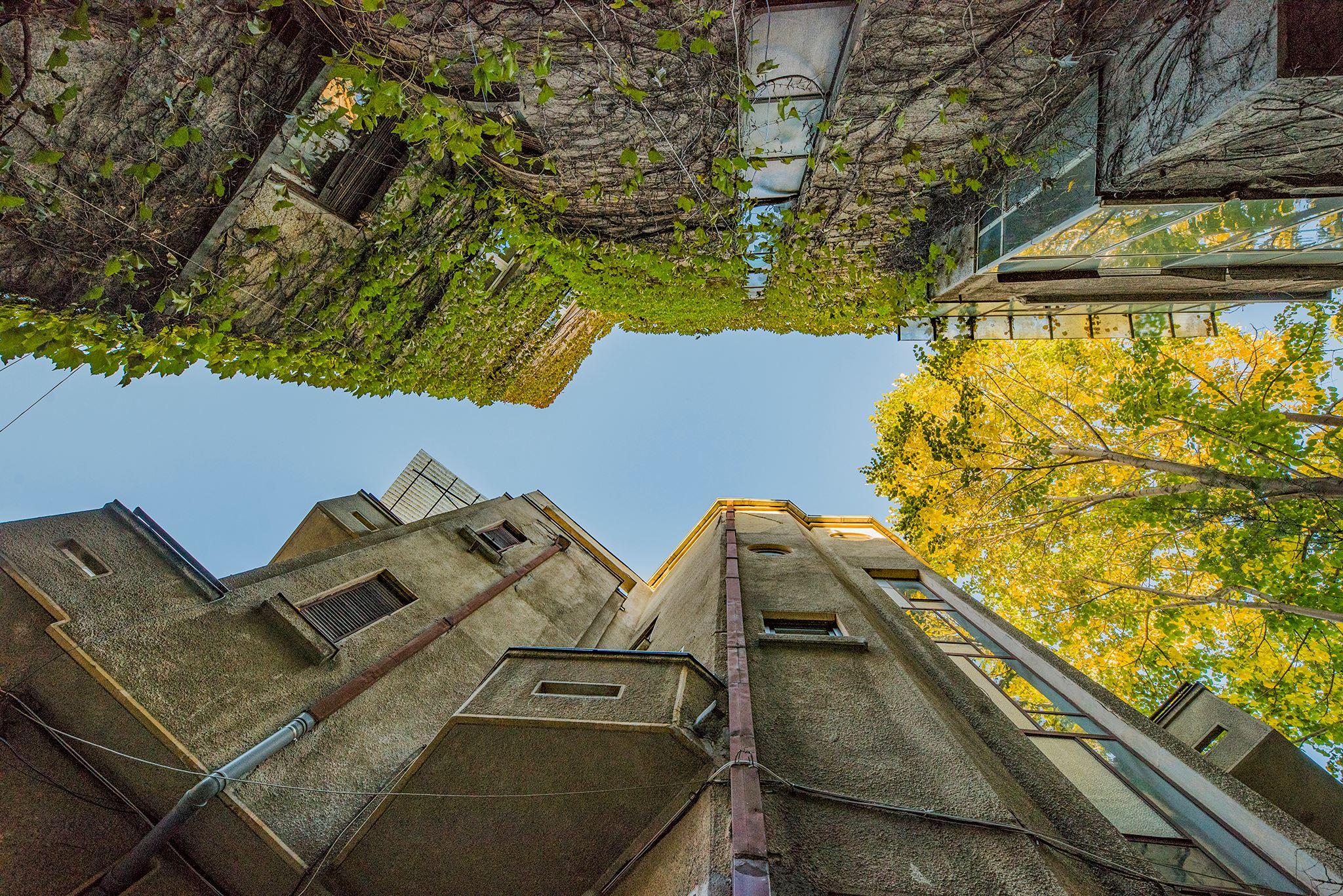 photo-A.R.C.E.N-bucarest