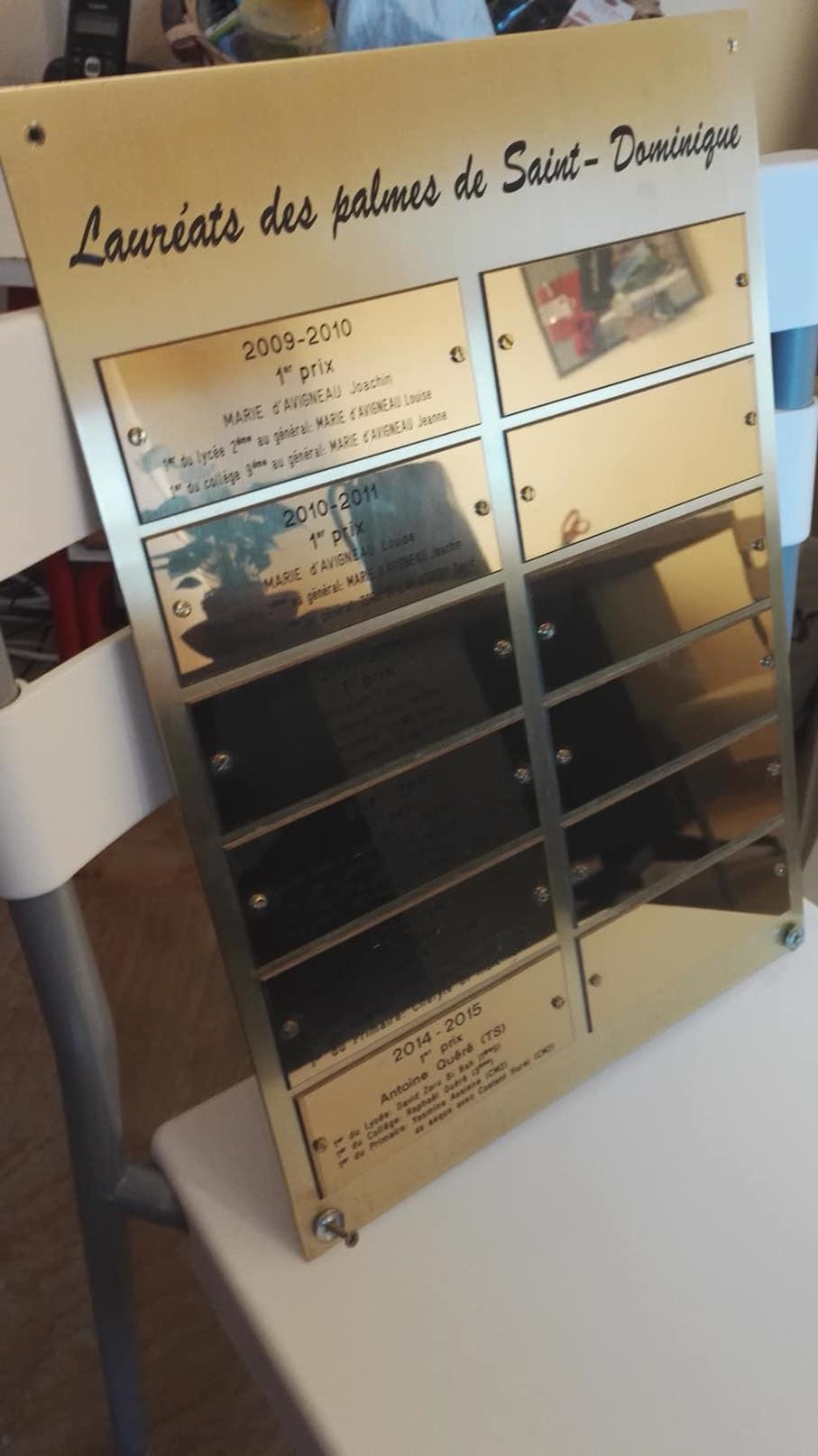 Palmes saint dominique