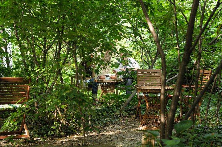 ceai-la-metoc-quartier-arménien-salon-de-thé-bucarest