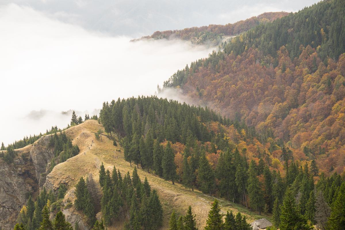 montagne-cozia