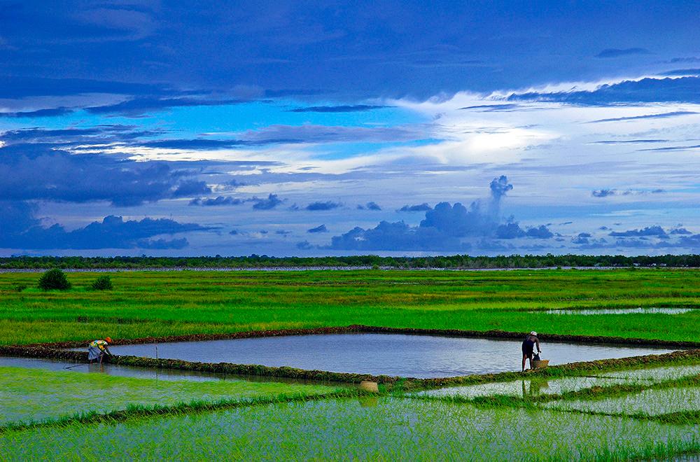 laurent gerrer simon photographe senegal saint louis casamance