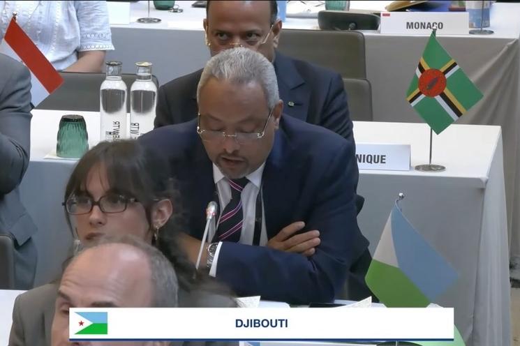 Le représentant de Djibouti