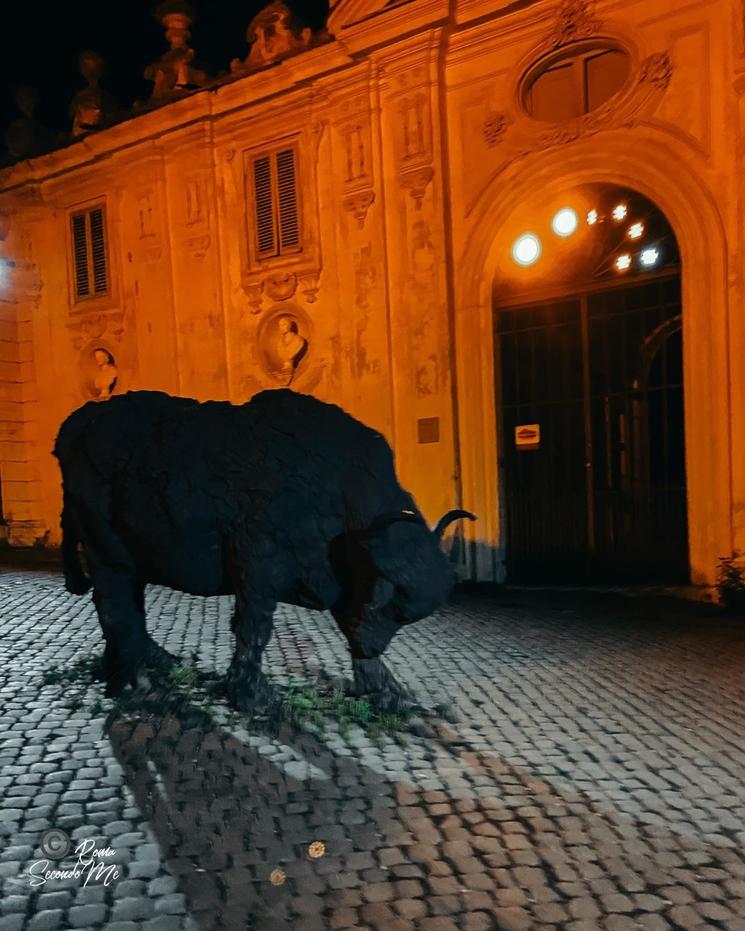 Exposition Villa Borghese