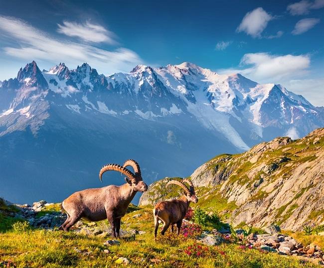 Montblanc au top des montagnes les plus instagrammées