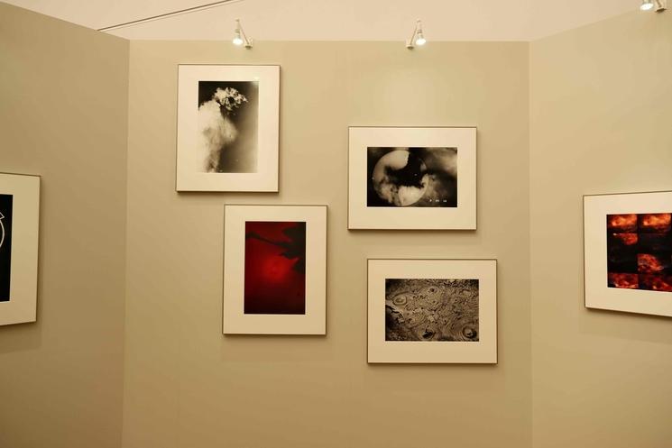 Œuvre de Kikuji Kawada