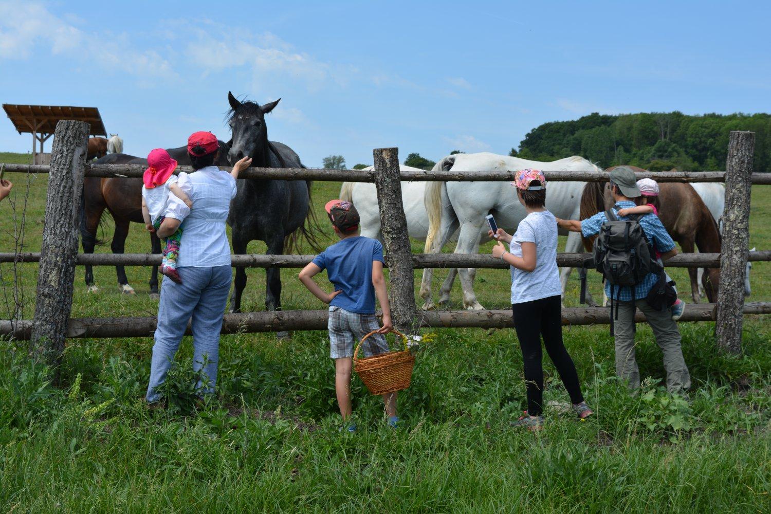 ferme-cobor-visiter-roumanie