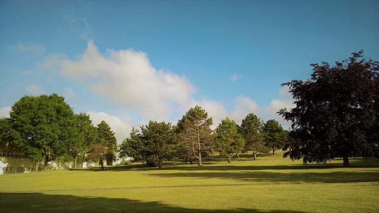 Espace vert à Caen