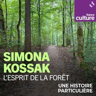 Esprit de la forêt