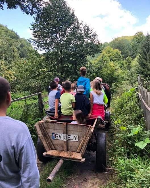 ferma-sub-penteleu-visite-ferme-roumanie