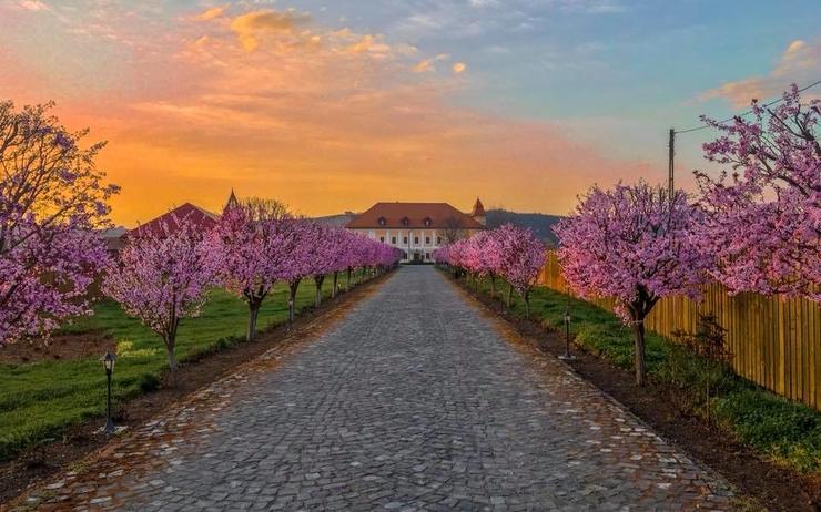 castel-haller-ogra-targu-mures-chateau-manoir-transylvanie-roumanie