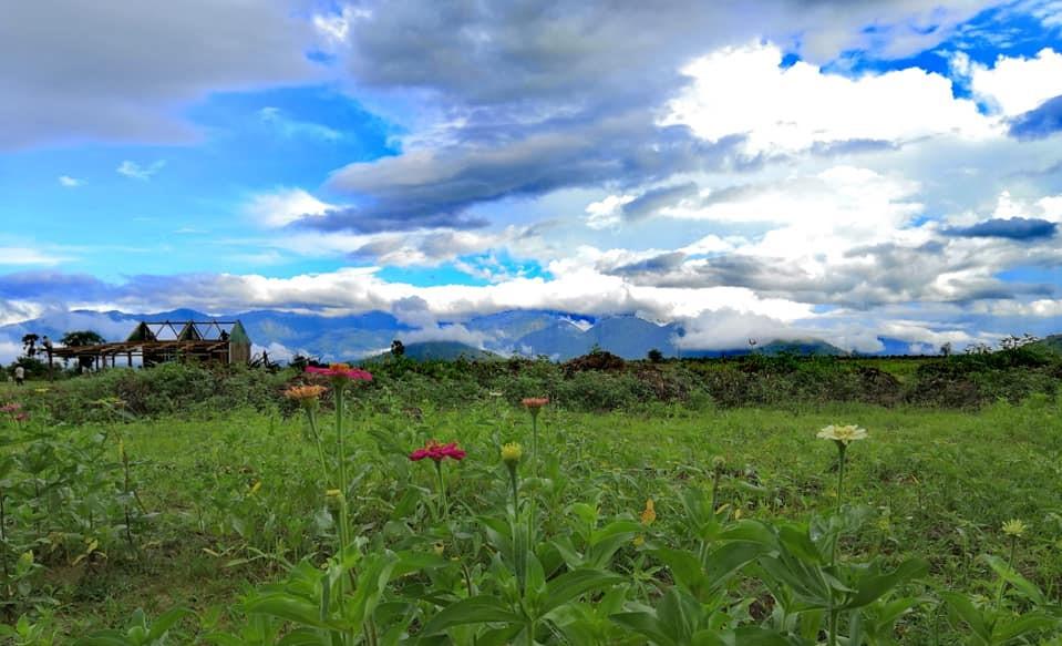 Vue sur le domaine, avec en arrière plan, la zone de Phnom Chriv.