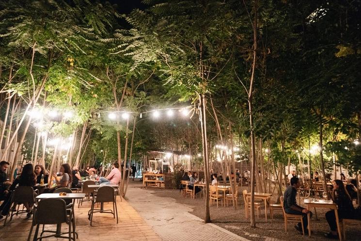 gradina-dorobanti-terrasse-jardin-verdure-bucarest