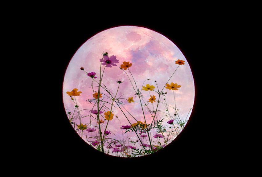 #QuedateEnCasa #Restecheztoi COVID-19 SuperMoon Avril2020