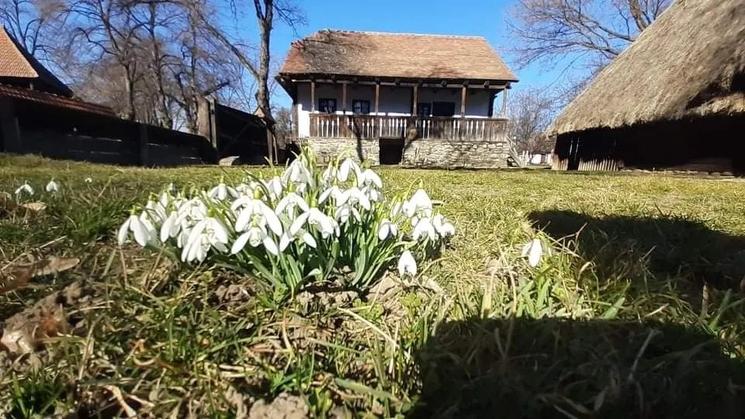 musée du village Bucarest
