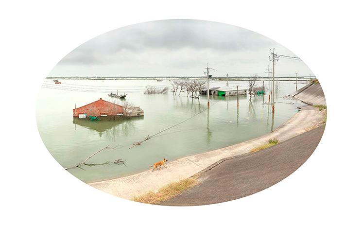 © Yang Shun-FaChiayi Dongshi Aogu Village Fishpond